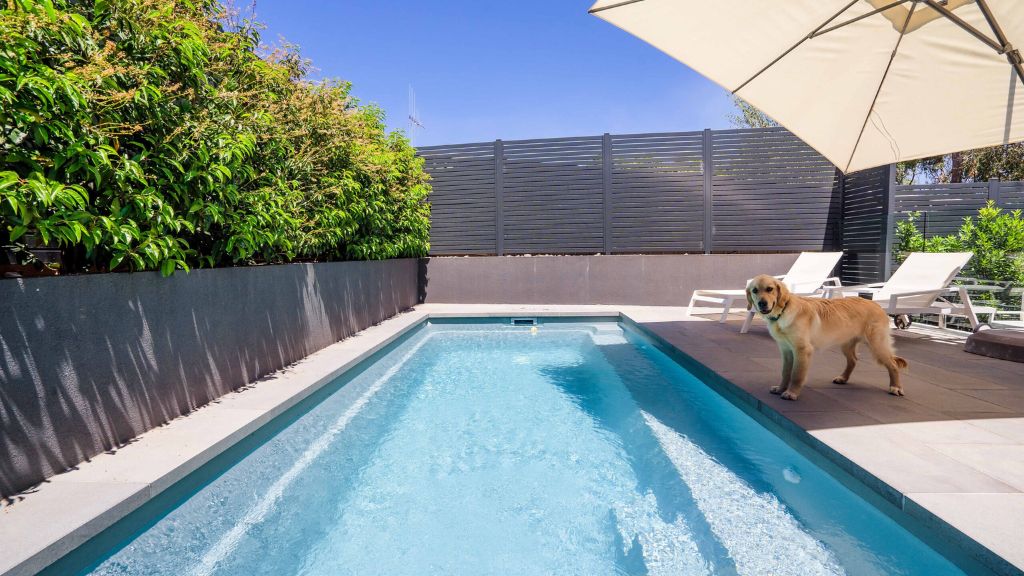 Swimming pool cleaning